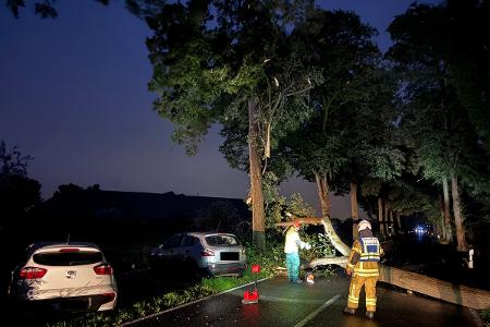 Baum auf Straße (c) Fw Tönisvorst