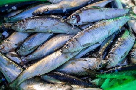 Das Abkommen soll die Fischerei nachhaltiger machen. (Symbolbild) Das Abkommen soll die Fischerei nachhaltiger machen. (Symbolbild)