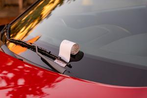 Scan-Auto jagt Parksünder