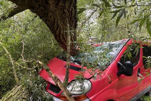 Glück im Unglück für eine Camperin in Römnitz