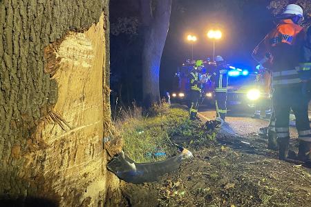 Der beschädigte Baum und die herumliegenden Trümmer lassen die Wucht des Aufpralls erahnen.