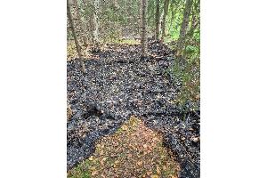 Ein Teil der abgebrannten Fläche.

Foto: Gemeindepressesprecher, S. Eriksen