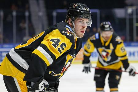 Nach DEL-Fehlstart: Löwen holen Kanadier Glover