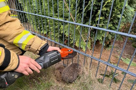 Igel Feuerwehr Alpen