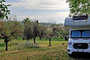 Feld, Bäume, Wohnmobil