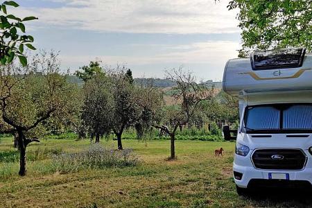 Feld, Bäume, Wohnmobil