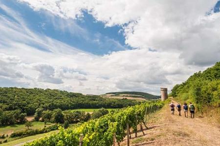 od-2016-rheinlandpfalz-rheinhessen-Hiwweltour Heideblick2 (jpg) od-2016-rheinlandpfalz-rheinhessen-Hiwweltour Heideblick2 (jpg)