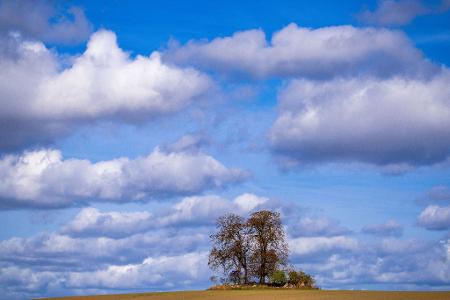 Der Herbst ist da 