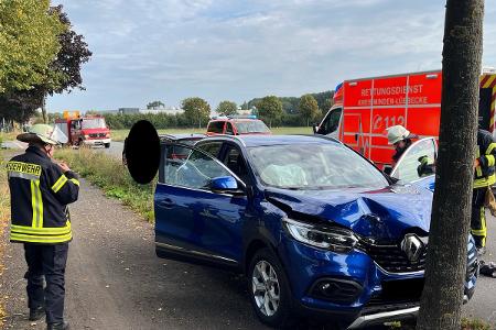 Der Renault kam nach rechts von der Fahrbahn ab und prallte frontal gegen einen Baum.
Foto: Polizei Minden-Lübbecke