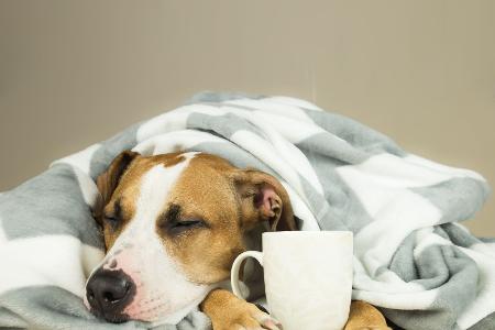 Kaffee und Tee