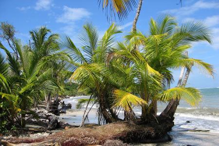 Der Fund zweier Leichen auf dem Grundstück eines deutschen Paares in Costa Rica gibt Rätsel auf. (Archivbild)
