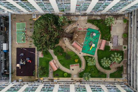 Für Bäume einfach umwerfend: Taifun "Ragasa" hat in Hongkong in einer Wohnsiedlung gewütet und ein Baum ist umgestürzt.