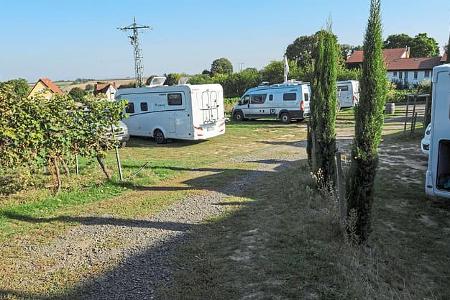 Stellplatz am Weingut Benß, Vorderpfalz