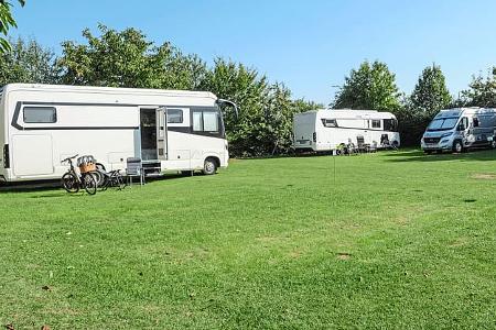 Stellplatz am Weingut Rogenwieser, Vorderpfalz