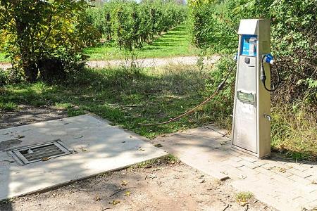 Stellplatz an der Sporthalle, Vorderpfalz
