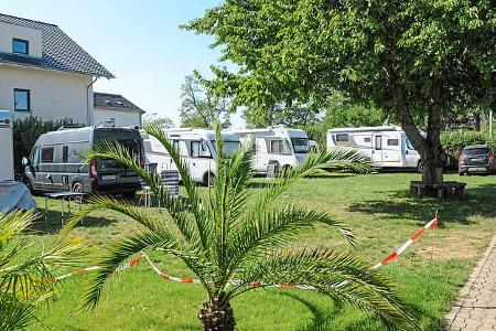 Stellplatz am Weingut Steigelmann, Vorderpfalz