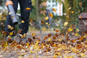 Zürich will den Einsatz nur noch von Oktober bis Dezember erlauben. (Symbolfoto)