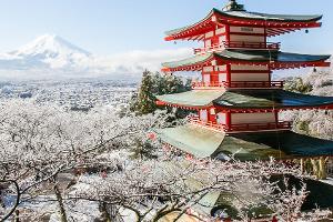 Die Inseln Japans: Atemberaubende Reiseziele im Pazifik