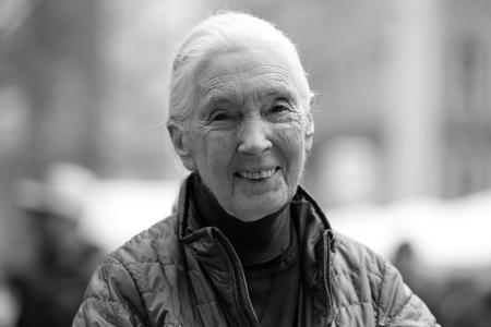 Die britische Schimpansen-Forscherin und Umwelt-Aktivistin Jane Goodall ist tot.