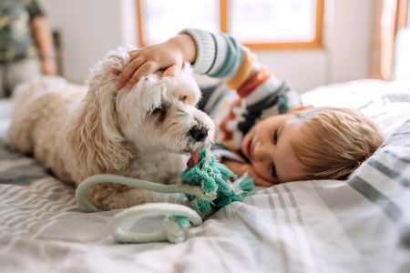 Kleiner Junge mit mit einem Hund, während beide auf einem Bett liegen