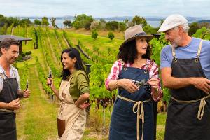 "Das Traumschiff": Ende November läuft die Neuseeland-Folge im ZDF