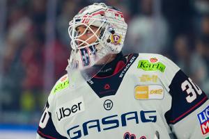 Pleitenserie vorbei: Tiffels erlöst die Eisbären