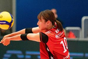 Volleyball: Dresden holt den Supercup