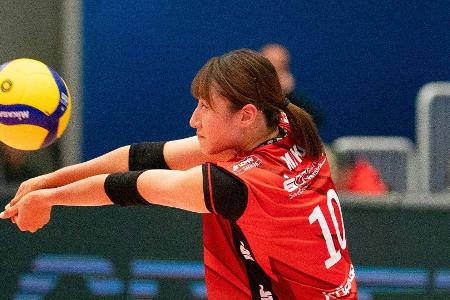 Volleyball: Dresden holt den Supercup