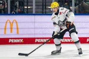 DEL: Löwen schlagen auch die Haie