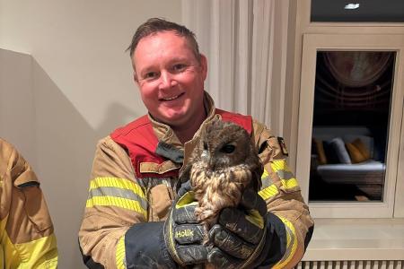 Der Waldkautz mit seinem Retter