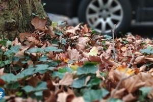 Sicher durch Herbst und Winter - Jetzt auf Winterreifen umrüsten!