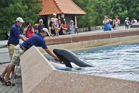 Der inzwischen geschlossene Freizeitpark in Kanada warnt, er müsse womöglich seine Tiere einschläfern. (Archivbild) Der inzwischen geschlossene Freizeitpark in Kanada warnt, er müsse womöglich seine Tiere einschläfern. (Archivbild)