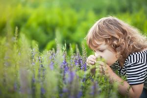 Giftige Pflanzen sind eine Gefahr für Kinder