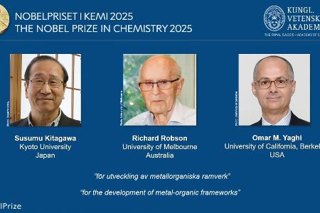 Die drei Nobelpreisträger im Überblick. 