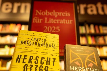 Die Handlung seines letzten Romans 