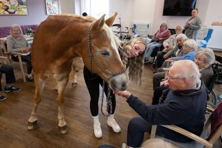 Der Besuch der Stute ist für die alten Menschen eine willkommene Abwechslung zum Alltag im Altersheim.