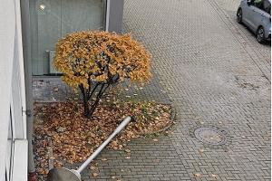 Verkehrsunfallflucht Wache Werl