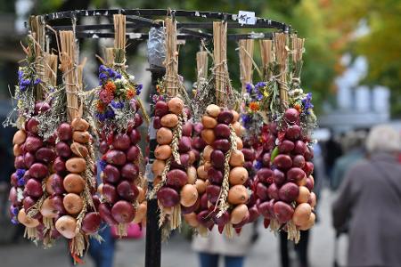 Die traditionellen Zwiebelzöpfe hängen zum Verkauf auf dem Zwiebelmarkt in Weimar.