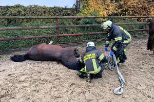 Unfall auf einem Reiterhof