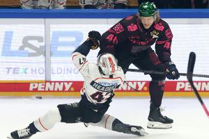 Eisbären im Pech: Verteidiger Geibel fällt monatelang aus