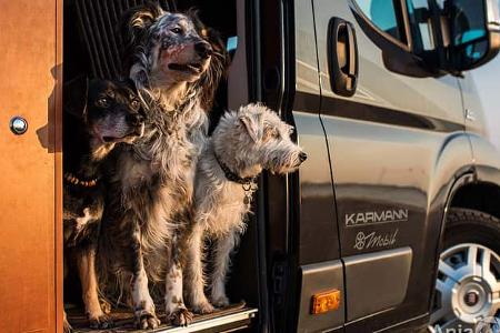 Dog-Camper Reisemobilvermietung