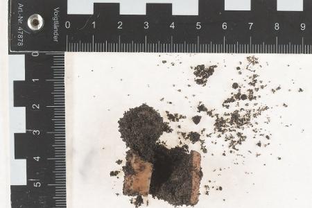 möglicher Giftköder aus Buxtehude