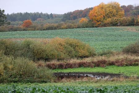 Die Suchmaßnahmen im Umfeld der Stelle, an der in der Nähe Güstrows am Dienstag ein toter Junge gefunden wurde, sind abgeschlossen. 