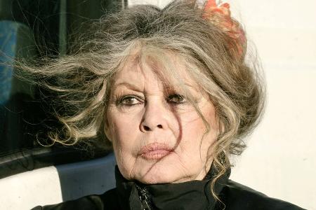 Brigitte Bardot offenbar seit mehreren Wochen im Krankenhaus Brigitte Bardot offenbar seit mehreren Wochen im Krankenhaus