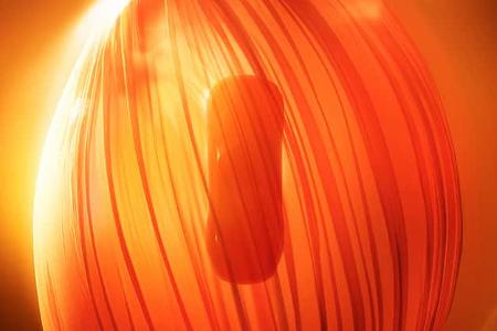 10/2025 Toyota Century Concept Tokio