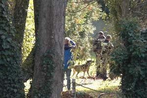 Spürhunde sind auf dem Gelände untwergs.