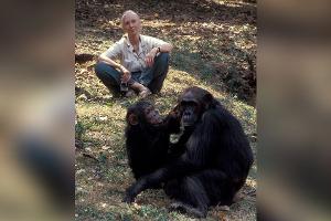 Jane Goodall starb an einem Herzstillstand