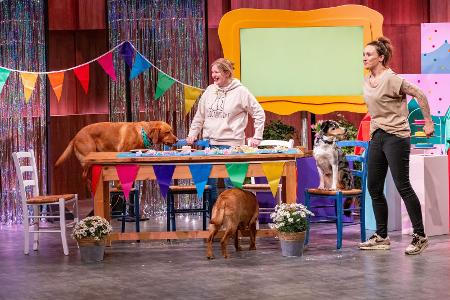 Die Höhle der Löwen