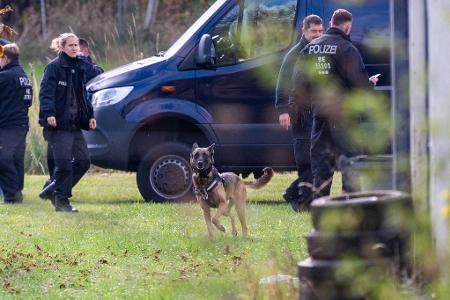 Leichenspürhund haben das Grundstück durchsucht.