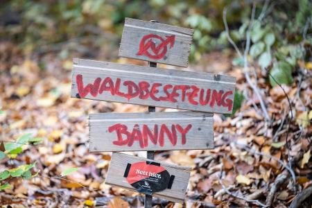 Waldbesetzung gegen Kiesabbau
